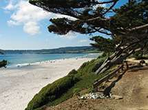 Carmel Beach 1