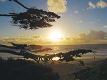 Carmel Beach 4