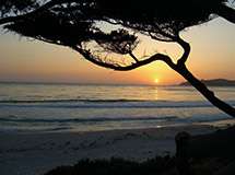Carmel Beach 6