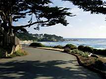 Scenic Road