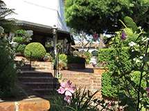 Pine Inn Courtyard