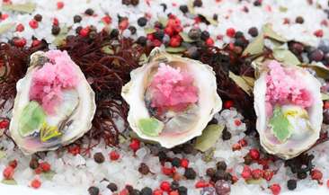 Image about West Coast Oyster Bite