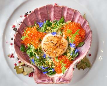 Image about Binchotan Roasted Mano de Le&oacute;n Scallop
