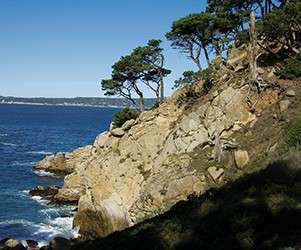 Image about Point Lobos State Reserve