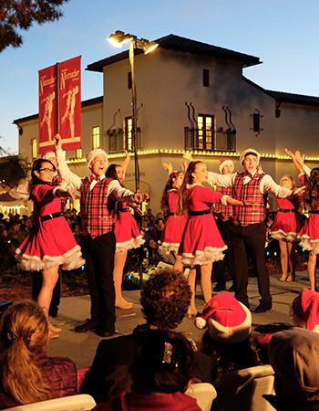 Holidays in the Park