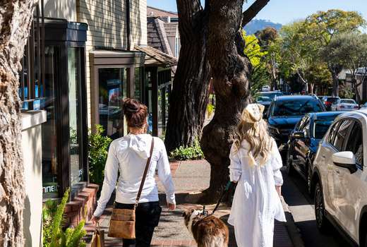 Image about Celebrate National Dog Day in Carmel-by-the-Sea