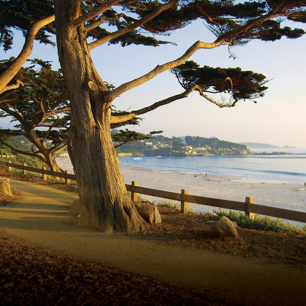 4. Scenic Bluff Trail
