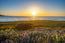 2715 Ribera Road - SOLD (Image 16)