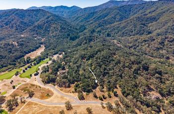 Luxury Homes in Carmel