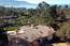 1515 Riata Road - SOLD (Image 4)