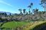 1515 Riata Road - SOLD (Image 35)