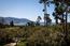 1515 Riata Road - SOLD (Image 39)