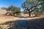 2 Arroyo Sequoia (Image 13)