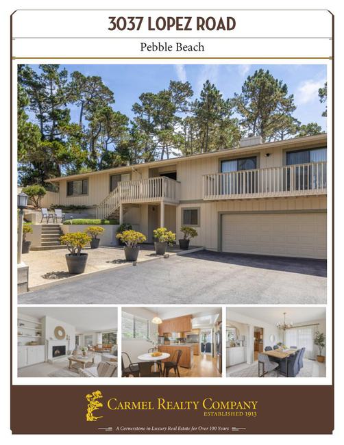 Property Flyer