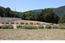 11 Sleepy Hollow Drive - SOLD (Image 5)