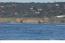 2385 Bay View Avenue - SOLD (Image 14)