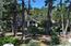 1276 Viscaino Road - SOLD (Image 29)