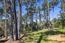3893 Ronda Road - SOLD (Image 41)