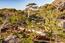 3188 17 Mile Drive - SOLD (Image 18)