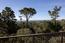 3896 Ronda Road - SOLD (Image 16)