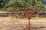 2 Arroyo Sequoia (Image 10)