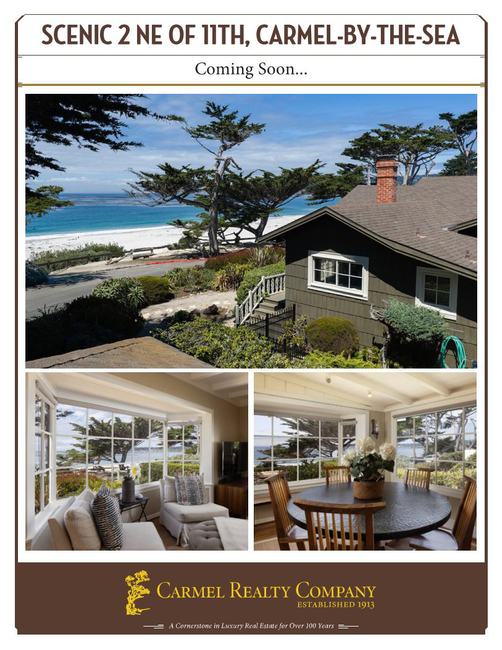 Property Flyer