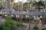 3102 Flavin Lane - SOLD (Image 48)
