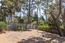 3037 Lopez Road (Image 21)