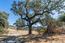 2 Arroyo Sequoia (Image 14)