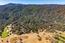 2 Arroyo Sequoia (Image 3)