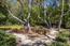 3208 Palmero Way (Image 47)