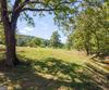 7362 Bridge Creek RD, Tiger, GA - Thumbnail Image #18