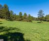 7362 Bridge Creek RD, Tiger, GA - Thumbnail Image #22