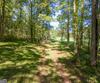 7362 Bridge Creek RD, Tiger, GA - Thumbnail Image #23