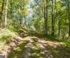 7362 Bridge Creek RD, Tiger, GA - Thumbnail Image #24