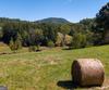 7362 Bridge Creek RD, Tiger, GA - Thumbnail Image #26