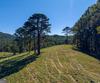 7362 Bridge Creek RD, Tiger, GA - Thumbnail Image #28