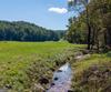 7362 Bridge Creek RD, Tiger, GA - Thumbnail Image #30
