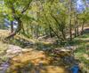 7362 Bridge Creek RD, Tiger, GA - Thumbnail Image #39