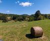 7362 Bridge Creek RD, Tiger, GA - Thumbnail Image #43
