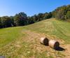 7362 Bridge Creek RD, Tiger, GA - Thumbnail Image #44