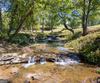 7362 Bridge Creek RD, Tiger, GA - Thumbnail Image #8