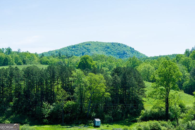 7362 Bridge Creek RD, Tiger, GA - Image #17