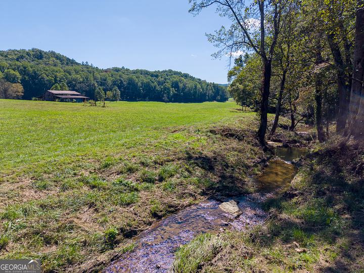 7362 Bridge Creek RD, Tiger, GA - Image #20