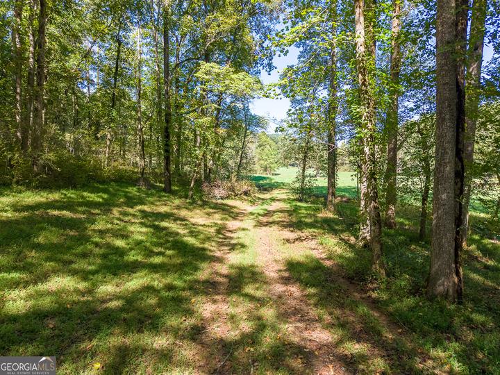 7362 Bridge Creek RD, Tiger, GA - Image #23