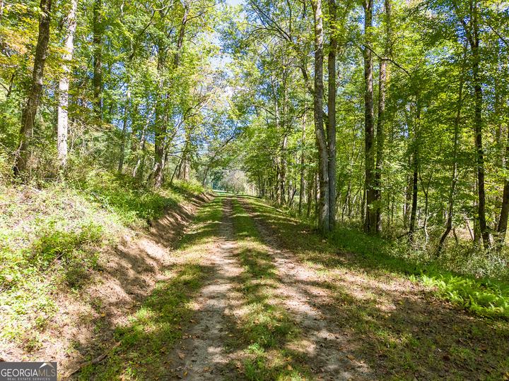 7362 Bridge Creek RD, Tiger, GA - Image #24