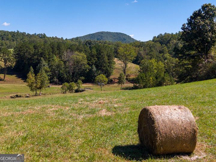 7362 Bridge Creek RD, Tiger, GA - Image #26