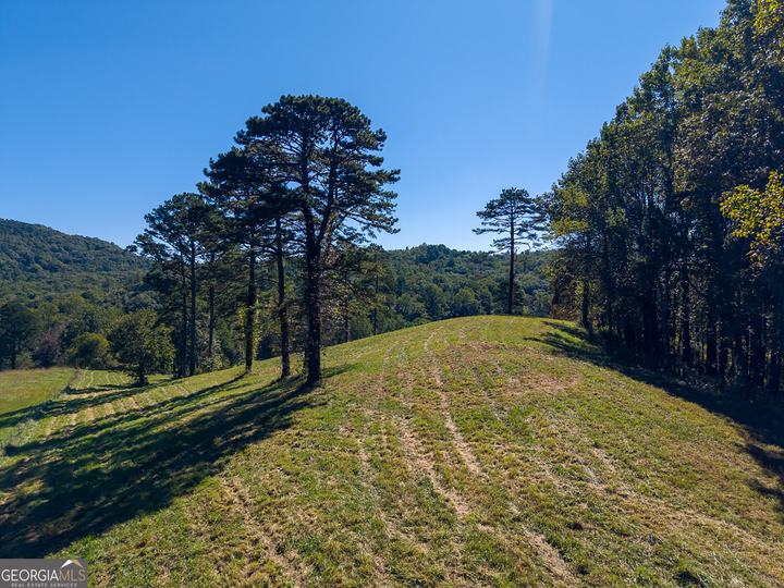 7362 Bridge Creek RD, Tiger, GA - Image #28