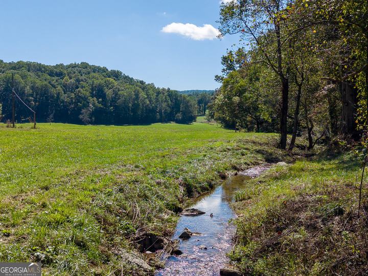7362 Bridge Creek RD, Tiger, GA - Image #30