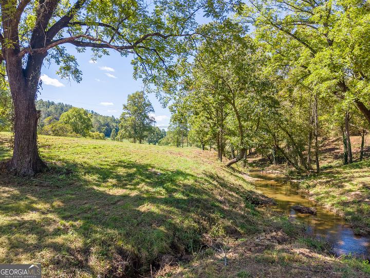 7362 Bridge Creek RD, Tiger, GA - Image #38